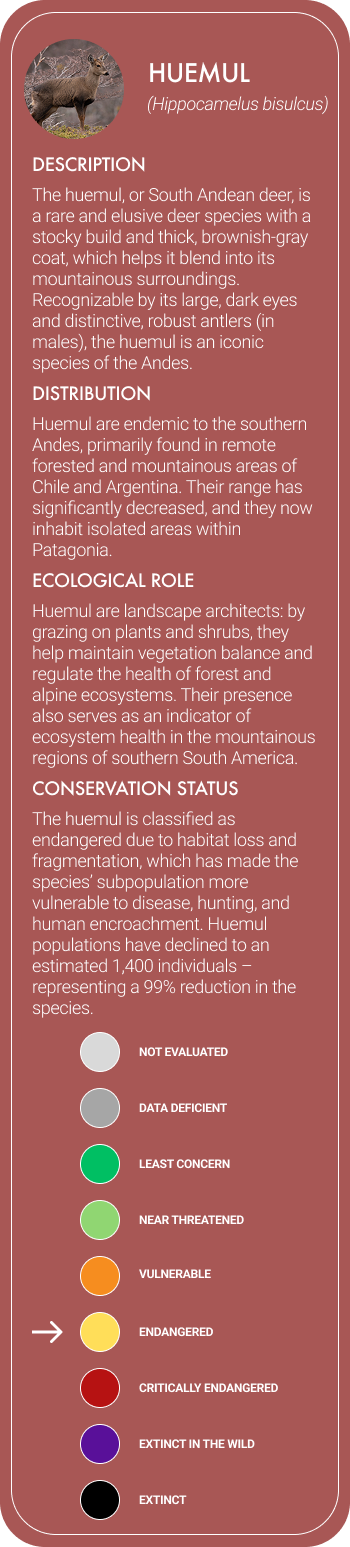 Huemul Mobile